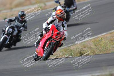 media/May-09-2022-Moto Forza (Mon) [[0226cf3505]]/Group C/C 1040am/